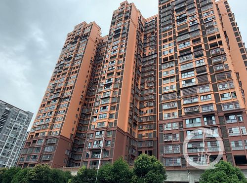 四川男子陷565萬元債務執(zhí)行難,當事人稱代理律師失職索賠千萬