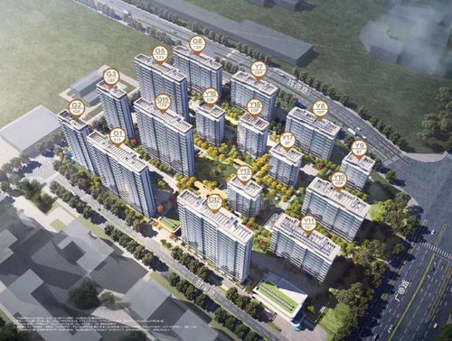 合肥瑤海區(qū)四川邦泰東方雅頌周邊地段怎么樣